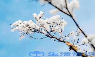 2022年冬至那一天算戌月或是亥月