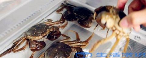 螃蟹沸腾之后必须蒸多长时间