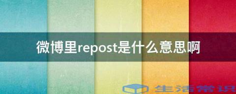 微博里repost的意思是什么啊