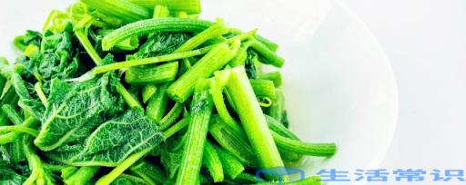 绿叶菜可以放冰箱吗 绿叶菜能不能放冰箱保存
