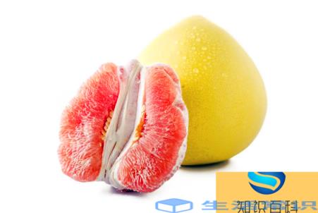 柚子包裹果肉的白色膜叫什么