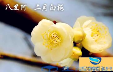 2022年闰二月冷不冷