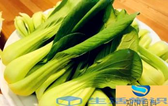 小雪节气种菜能发芽吗-