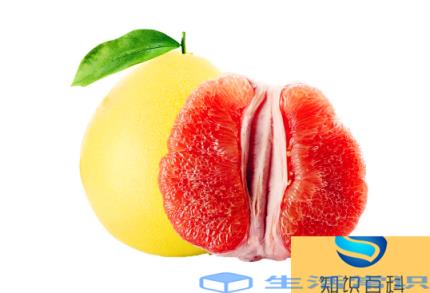 柚子为什么一半红一半白