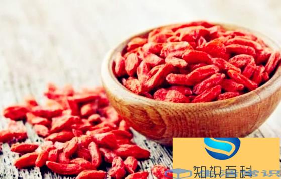 吃枸杞有什么好处