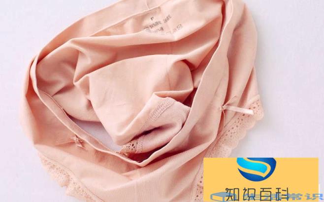 内裤多久换一次