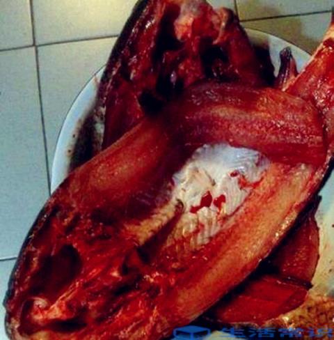 如何腌制鱼块主料肉和鱼