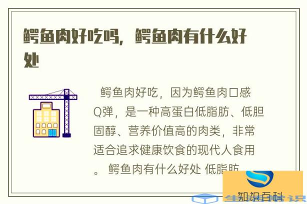 鳄鱼肉好吃吗，鳄鱼肉有哪些好处呢