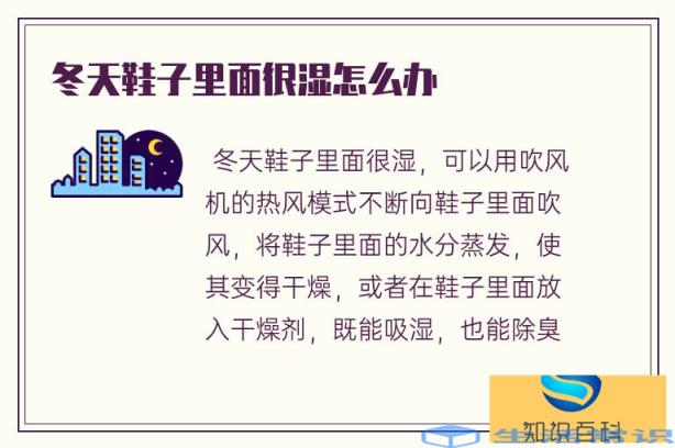 冬天鞋子里边湿湿的该怎么办