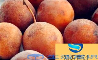 水果烂了就得扔丢吗