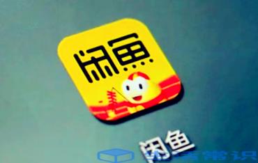 闲鱼小法庭复审是什么意思