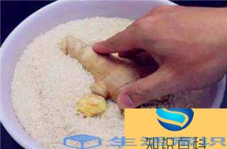 米生虫子怎么做