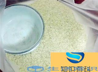 米生虫子怎么做