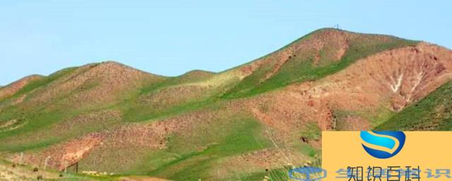 新疆石河子地域土壤容重