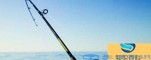 钓甲鱼用多久的针 钓甲鱼针的长短多少钱