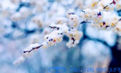 2022小雪节气不下雪是不是今年冬天就不冷