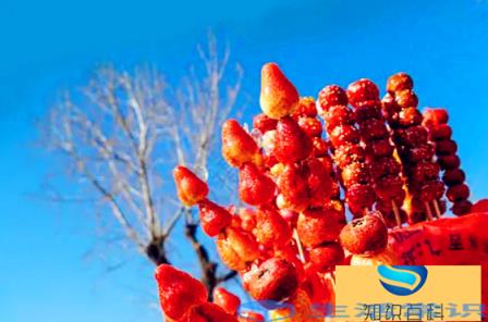 糖葫芦保质期多长时间