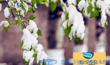 小雪节气不下雪冬天不冷吗