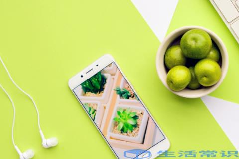 草料二维码生成器活码怎么制作