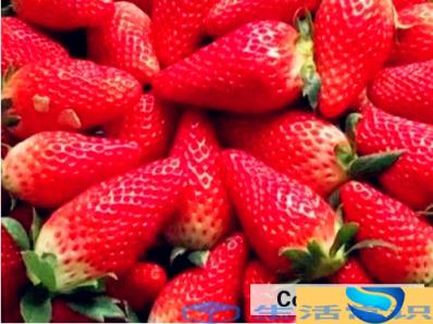 奶油草莓的营养成分以及作用