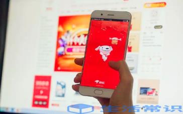 京东保价退款什么时候到?