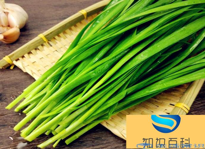 韭菜有哪些功效？