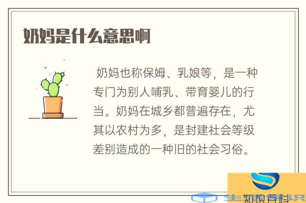 奶爸是什么意思