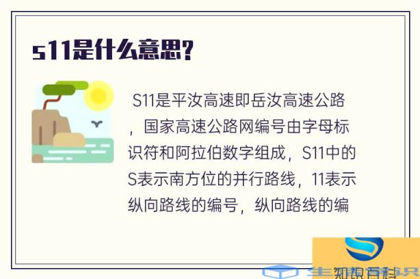 s11代表什么意思-