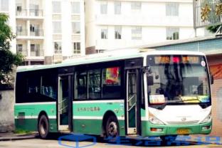 广州11月份冷不冷