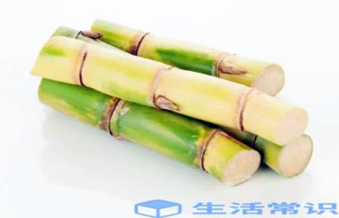 甘蔗可以隔夜吃吗