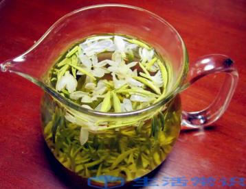 新鲜茉莉花可以直接泡水喝吗