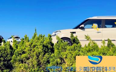 汽车中网改装必须上报吗