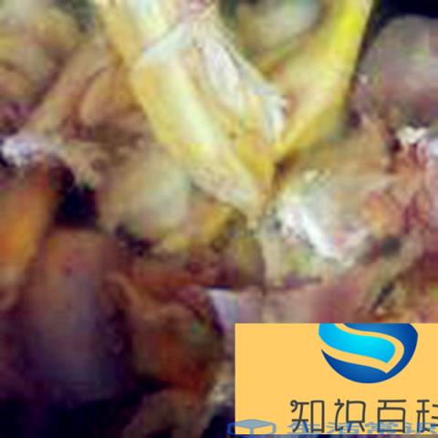 鸡肉怎么煮
