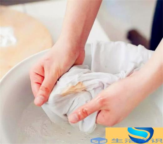 杨梅汁沾到裤子上如何处理