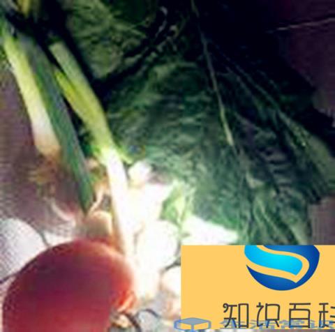 鸡肉怎么煮