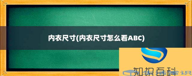 内衣尺寸(内衣尺寸怎么看ABC)