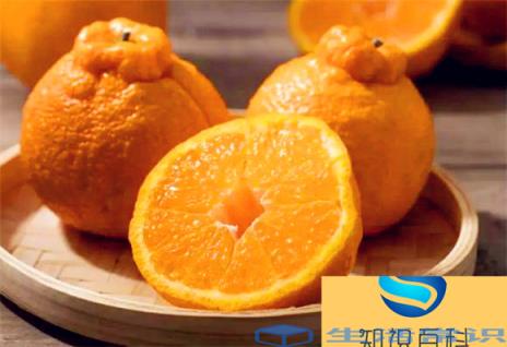 不知火的储存方法