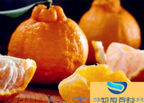 不知火的储存方法