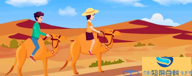 骆驼为什么被称为沙漠之洲 骆驼被称为沙漠之洲的原因