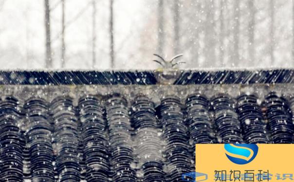 雨加雪产生原因有哪些