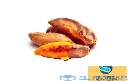 烤地瓜先煮后烤还是直接烤美味