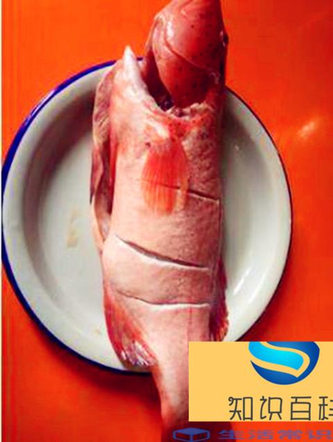 东星斑怎么做好吃