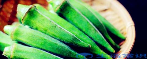 78月当季蔬菜有哪些?