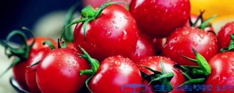 含铜量高的食物和水果有哪些