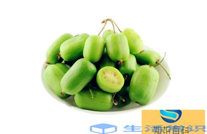 奇异莓正确的吃法有哪些