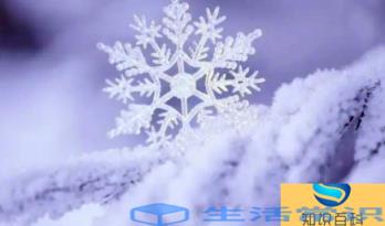 2022年冬至节气是否会降雪