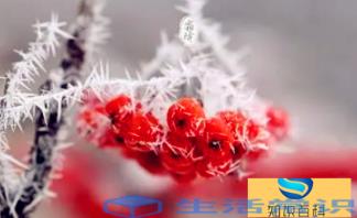 2022年降霜不可以结婚啊