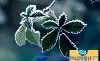 2022年降霜不可以结婚啊