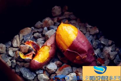 空气炸锅烤地瓜200度烤多少分钟