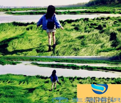 武汉市府河湿地公园在哪里